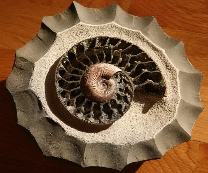 What is a fossil?