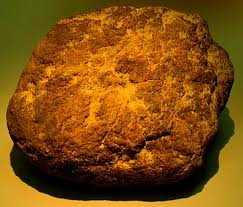 What is a fossil? here is an example of a Dinosaur Dung called Coprolite.